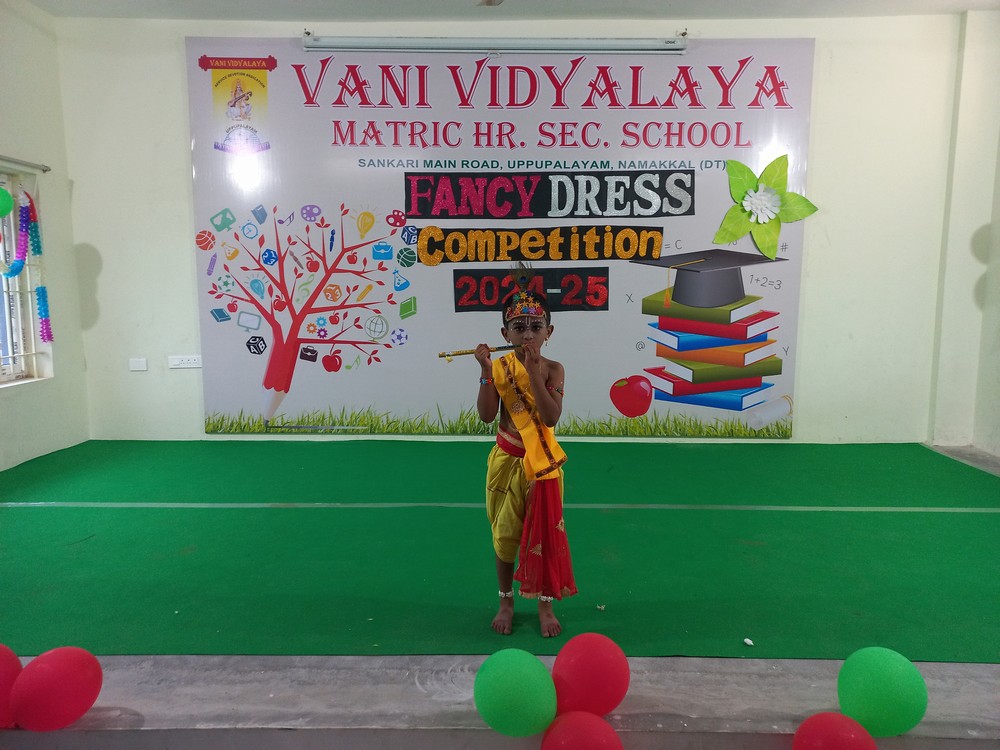 Fancy Dress Competition  (I- Std)- 2024-25